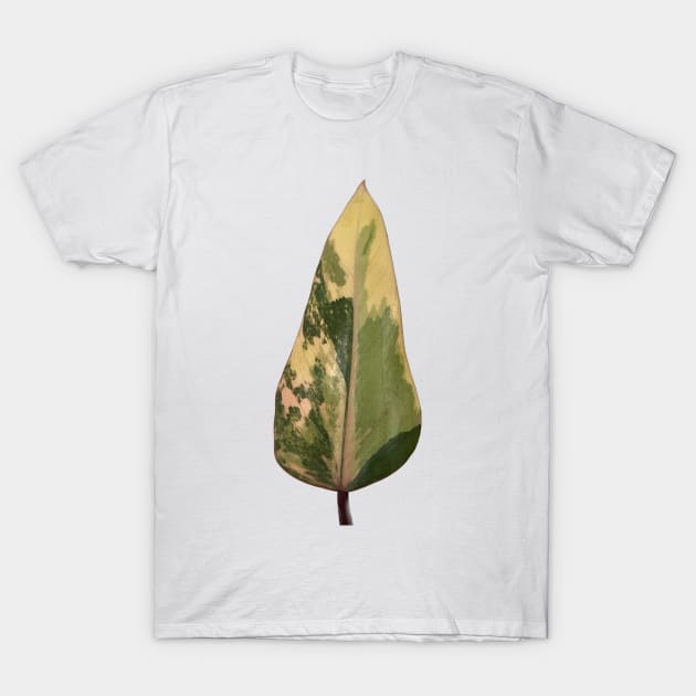 Colorful Strawberry Shake Philodendron Design T-Shirt by barkNbloom